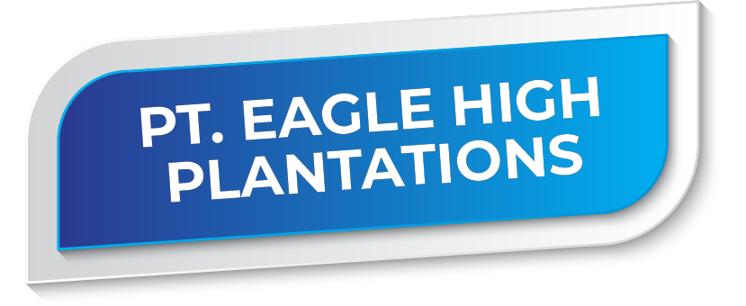 40_PT_EAGLE_HIGH_PLANTATIONS.png